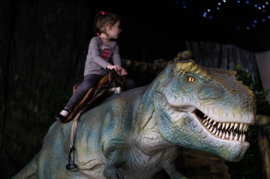 Динопарк (парк динозавров) «Рекс»