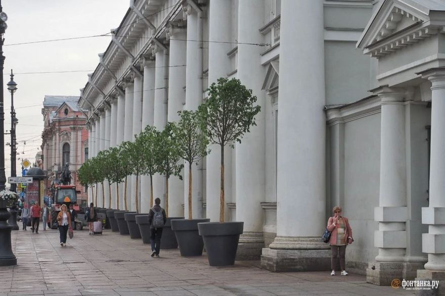 Гигантские цветочные горшки установили на Невском проспекте