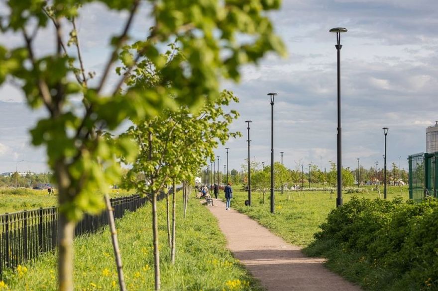 На берегу Каменки разобьют парк с деревьями-долгожителями