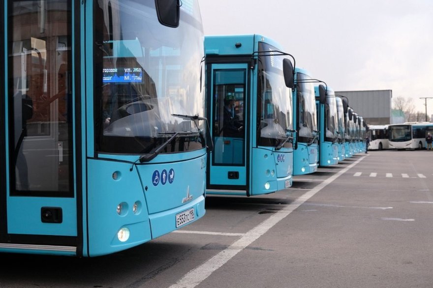 Петербургским автобусам вернут привычные таблички с указанием маршрута