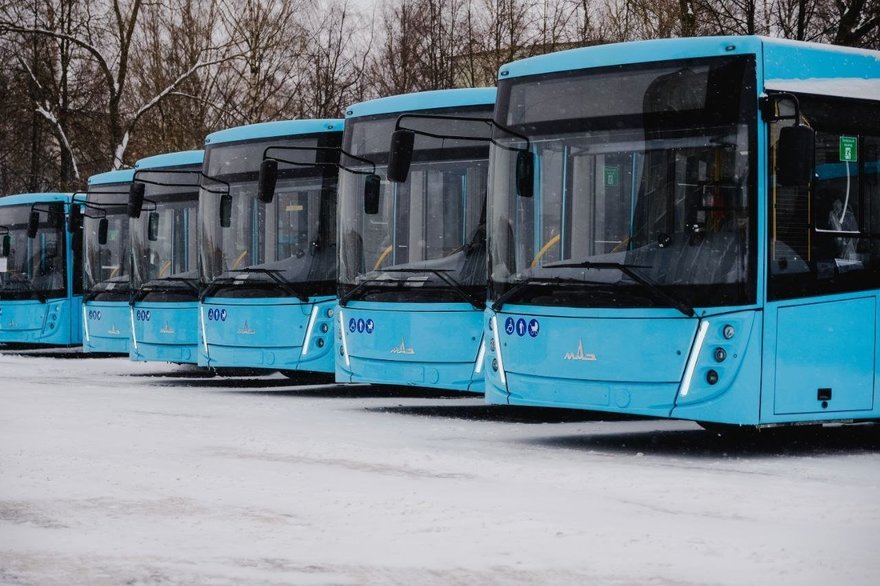 За две недели до закрытия «Ладожской» в Петербурге запустят два новых автобусных маршрута