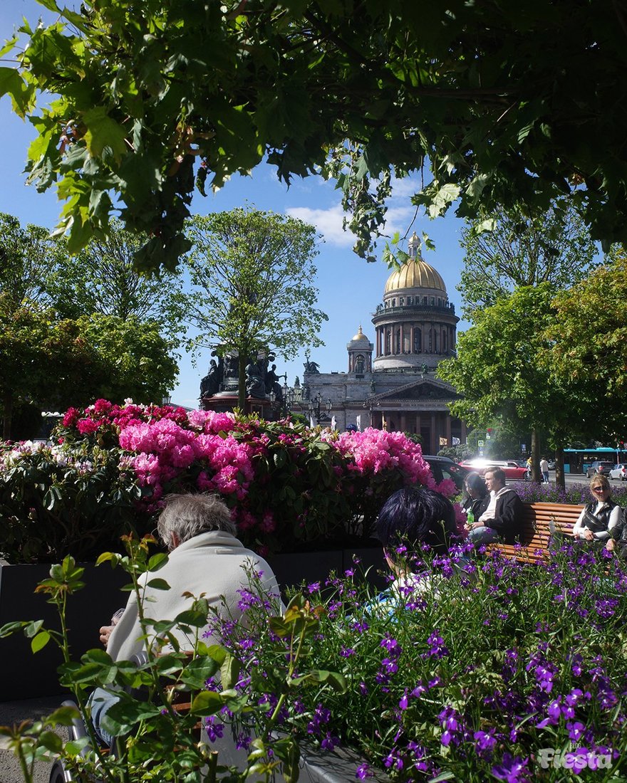 Сад-трансформер у Мариинского дворца появится к середине июня