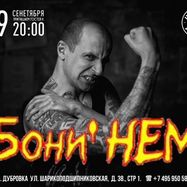 Бони НЕМ в ШТОПОРе