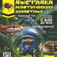 Выставка экзотических животных