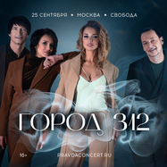 ГОРОД 312