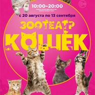 Зоотеатр кошек г. Артем