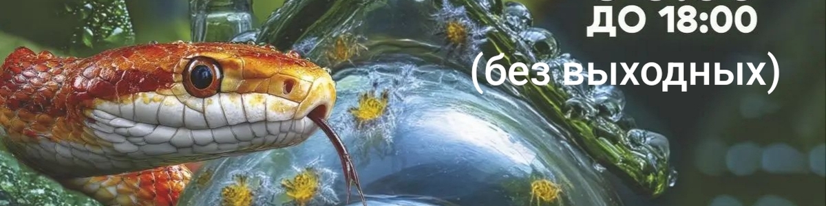 Выставка экзотических животных
