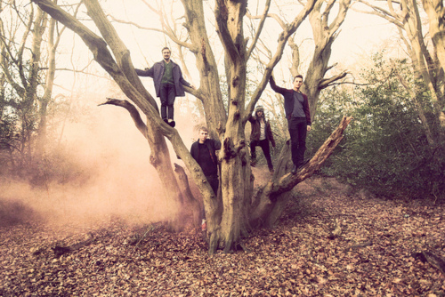 6. Wild Beasts