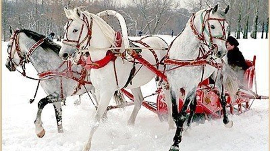 Источник фото: fotokonkurs.ru