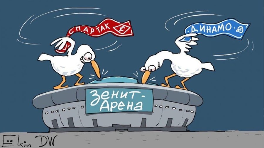 В Смольном придумали, как отпугнуть бакланов от крыши стадиона