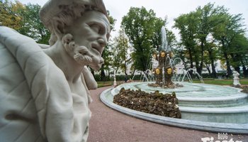 Летний сад