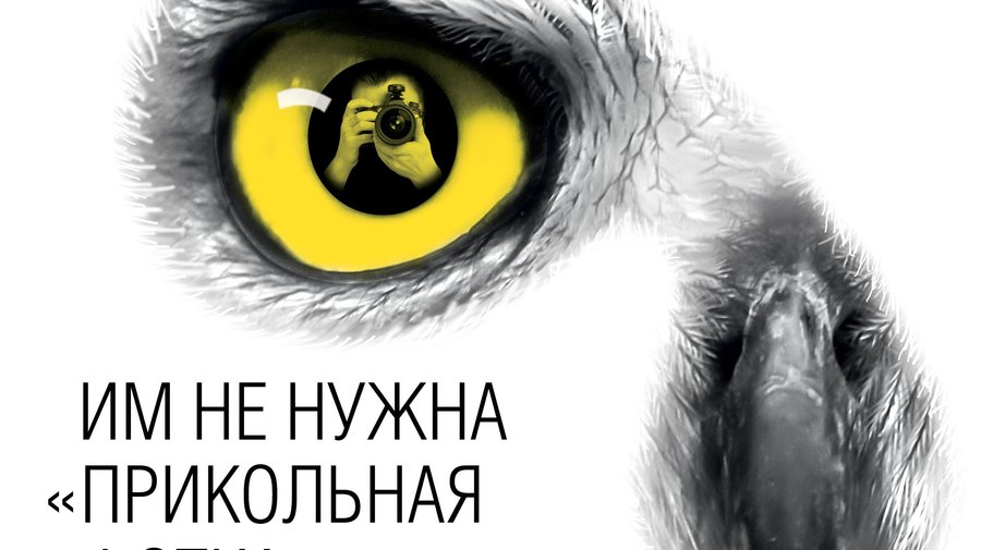 В Петербурге появились плакаты в защиту диких животных от фотобизнесменов