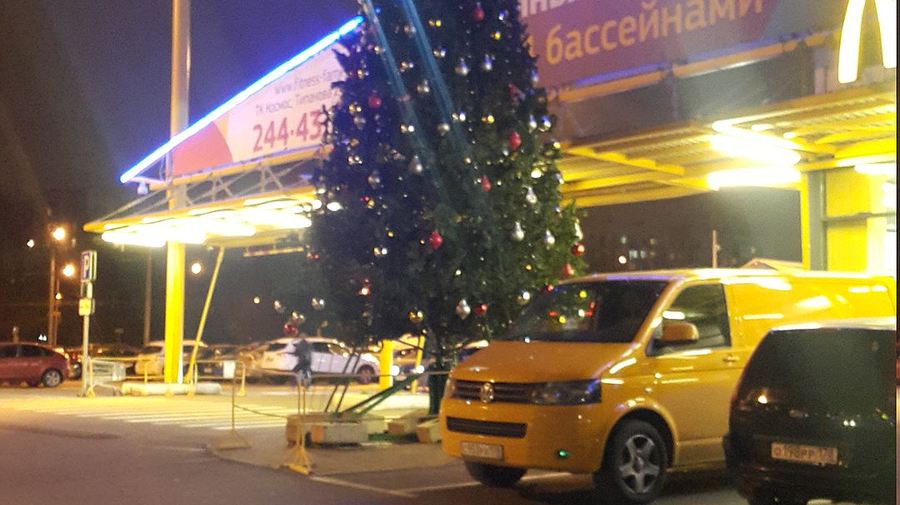 В Петербурге заметили первые новогодние ели