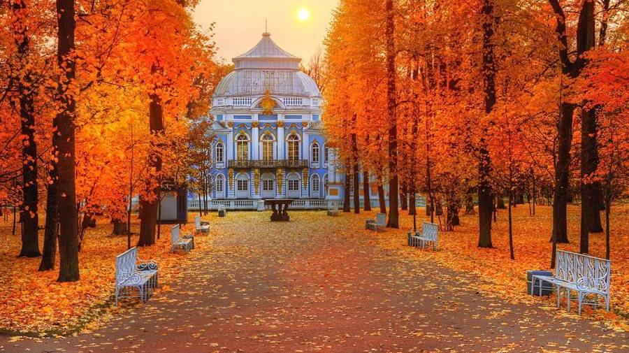 Петербуржцев ждут тёплые солнечные выходные