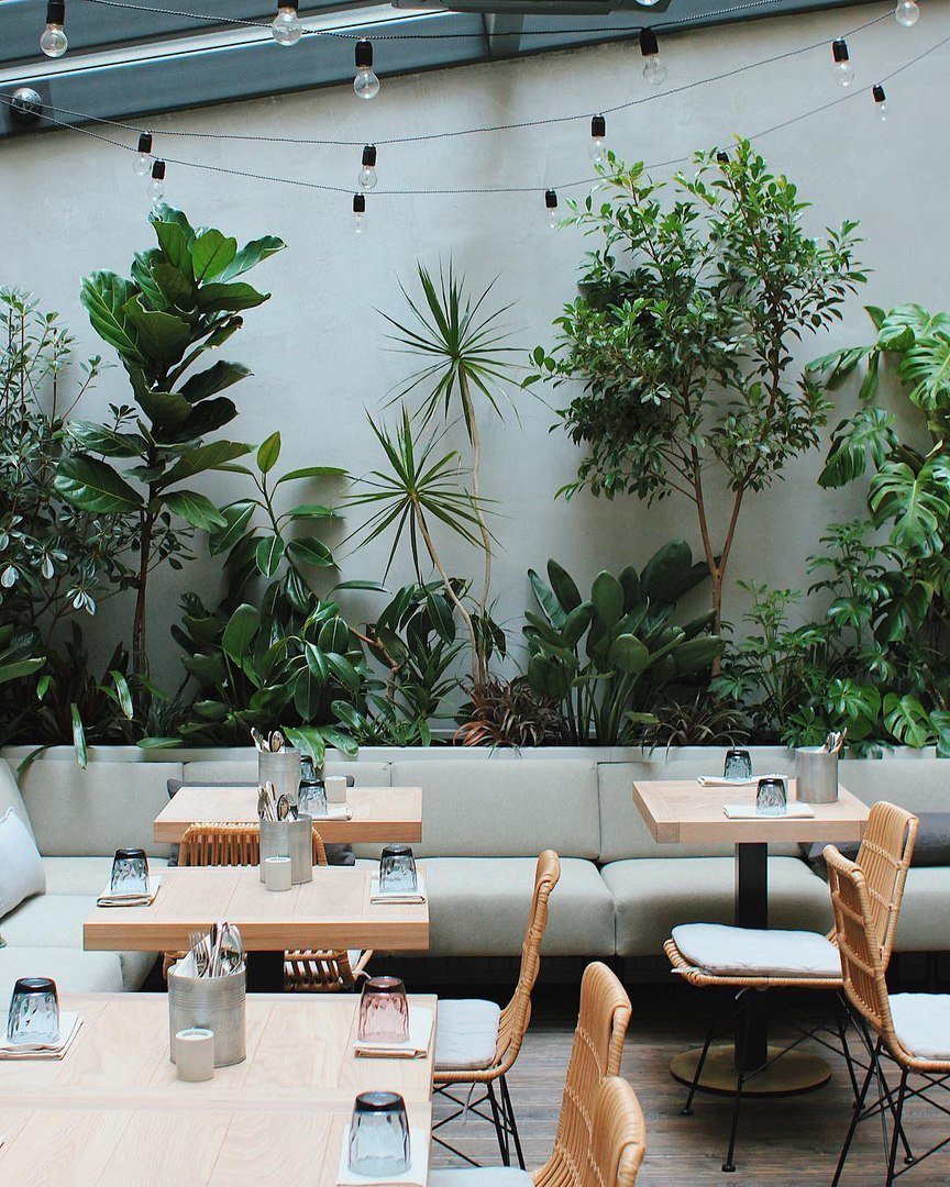 Jungle