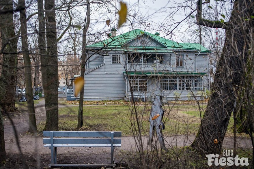 что посмотреть в петроградском районе