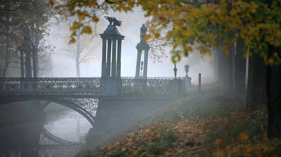 К 100-летию главных пригородных музеев-заповедников снимут фильм