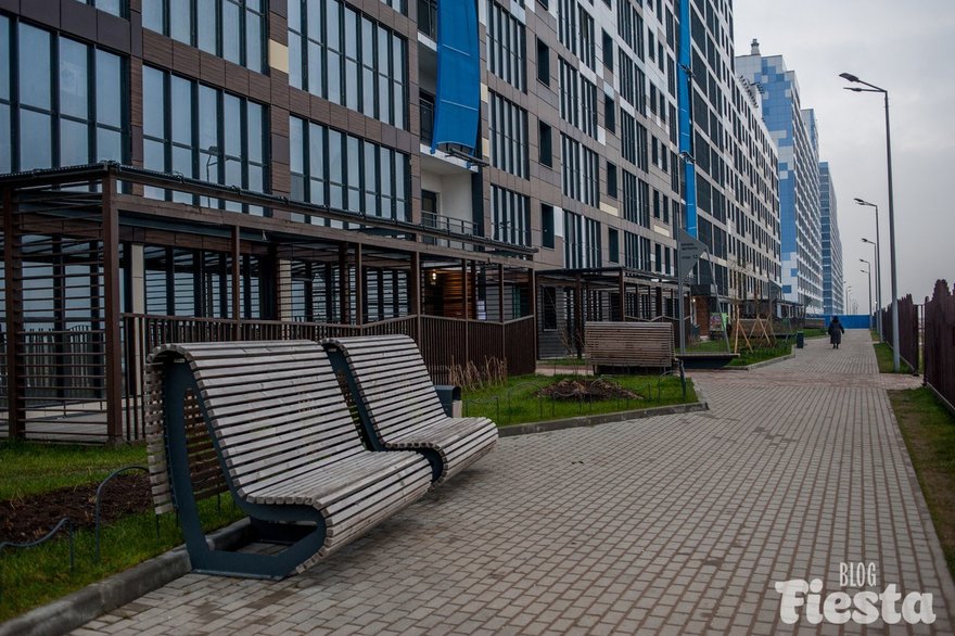 Намывная территория и весь западный берег Васильевского острова