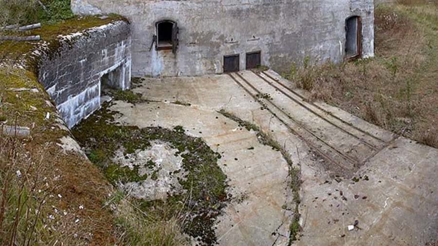 «Партизанская деревня» вырастет в Кронштадте 