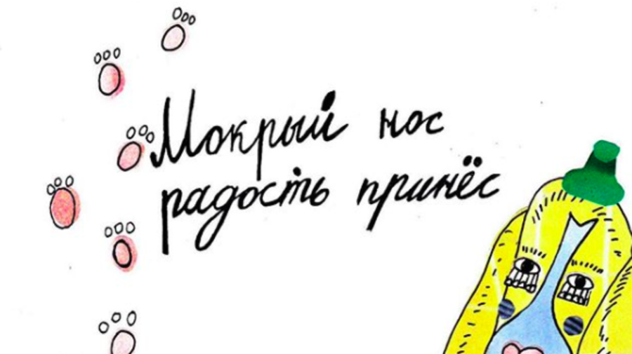 Художница из Петербурга нарисовала новогодние открытки, чтобы помочь собакам