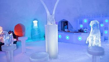 Ресторан и бар Arctice