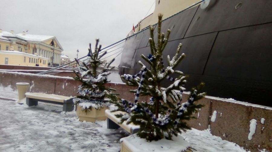 «Дедушка Ледокол» отвезёт поделки маленьких петербуржцев прямо на Северный полюс 
