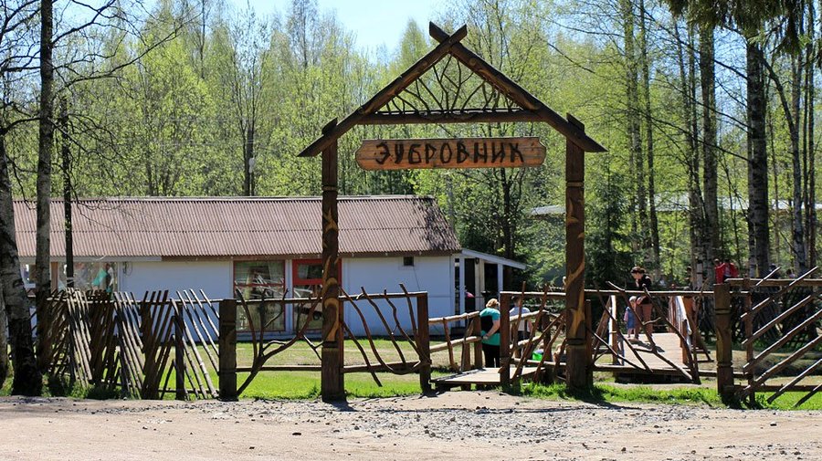 Парк «Зубровник»