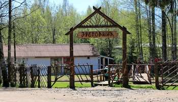 Парк «Зубровник»
