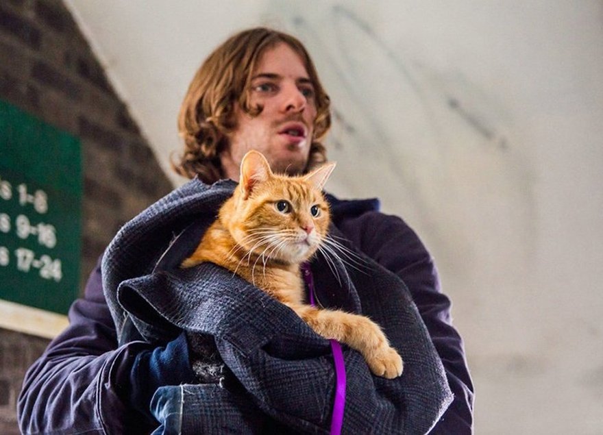 «Уличный кот по имени Боб» (A Street Cat Named Bob, 2016)