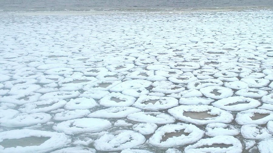 Поразительные ледяные «пышки» наблюдают у берегов Финского залива