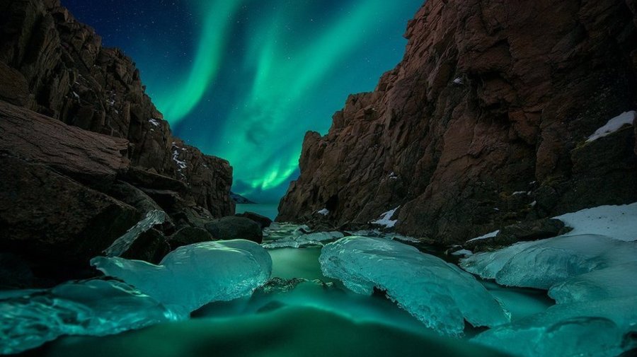 Фотовыставка «Дикая природа России»
