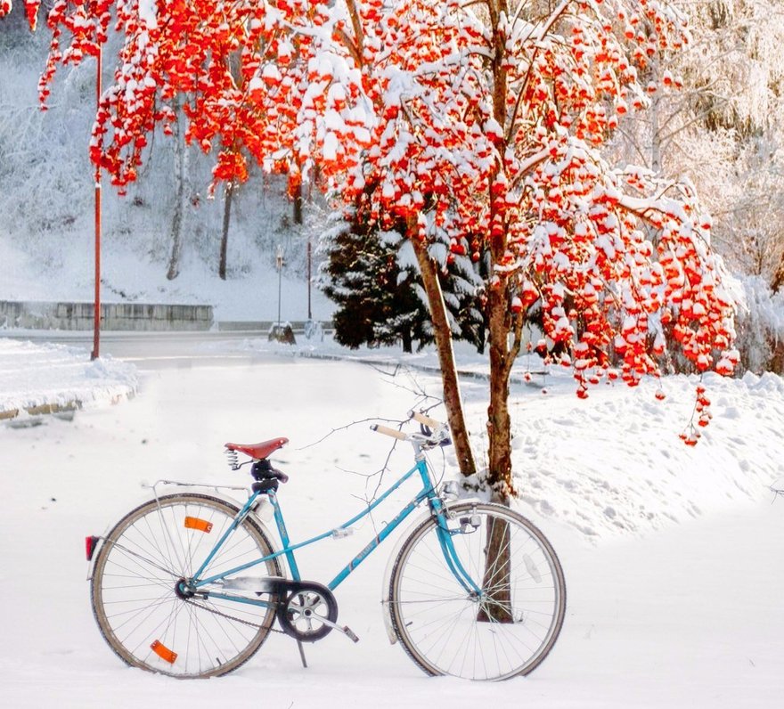 «На работу на велосипеде зимой»