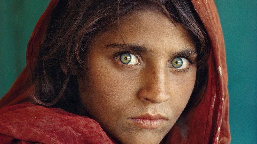 Выставку 125 лет National Geographic можно посетить бесплатно
