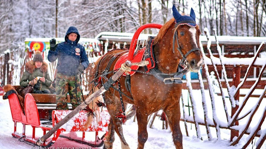 Масленица в зубровнике 