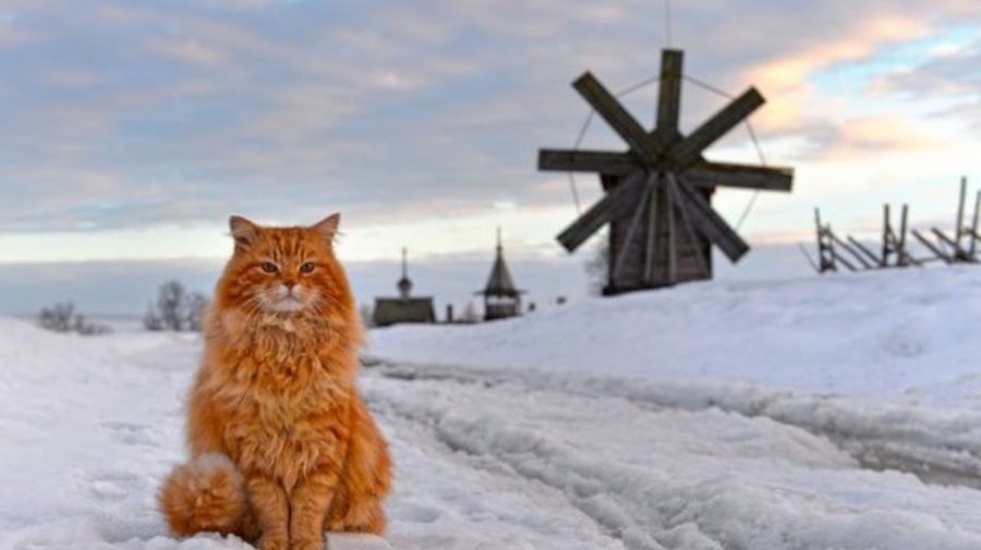 Санкт-Петербург станет отправной точкой маршрутов «Серебряного ожерелья России»