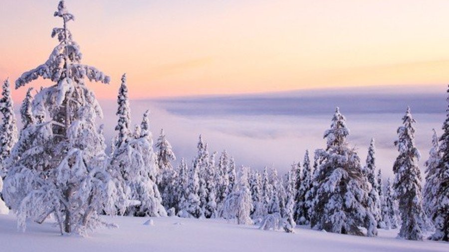 В Финляндии наконец-то выпадет снег