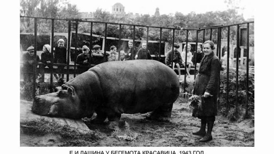 zoopicture.ru