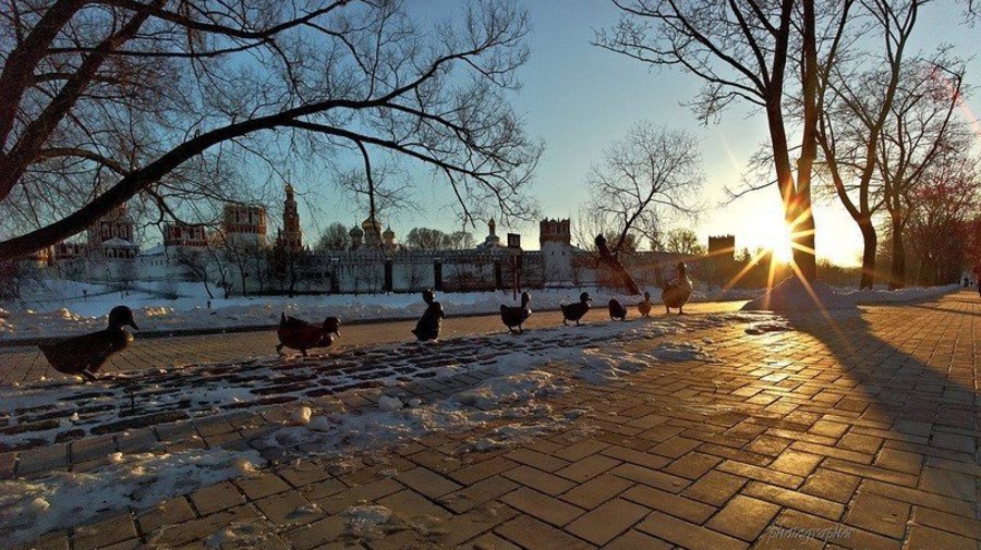 В московском регионе на Крещение будет мороз и снег