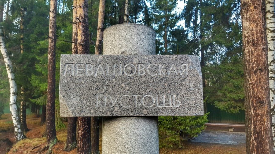 В Петербурге запустили сайт о кладбище НКВД в Левашово 