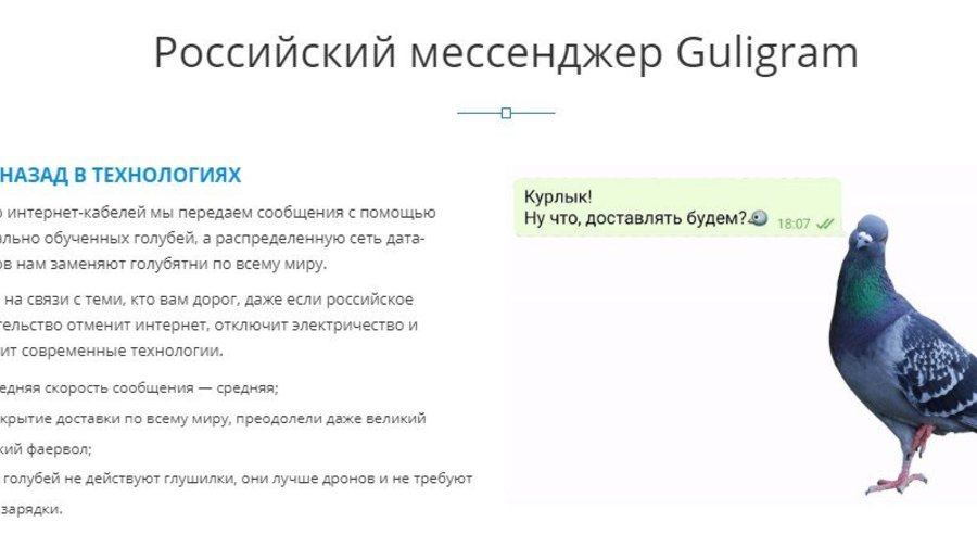 В Петербурге придумали новый мессенджер Guligram, который нельзя заблокировать. Сообщения передаются голубиной почтой 