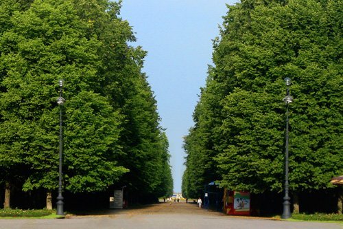 Приморский парк Победы