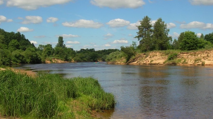Река Луга