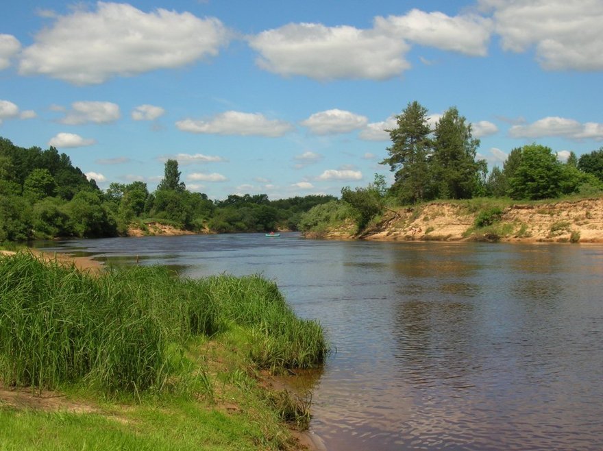 Река Луга