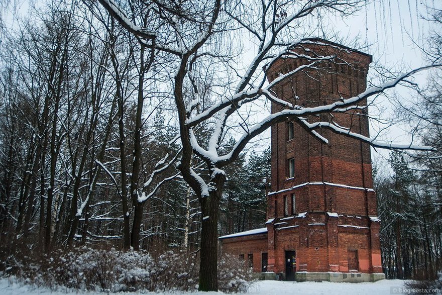 Фото: Сергей Николаев