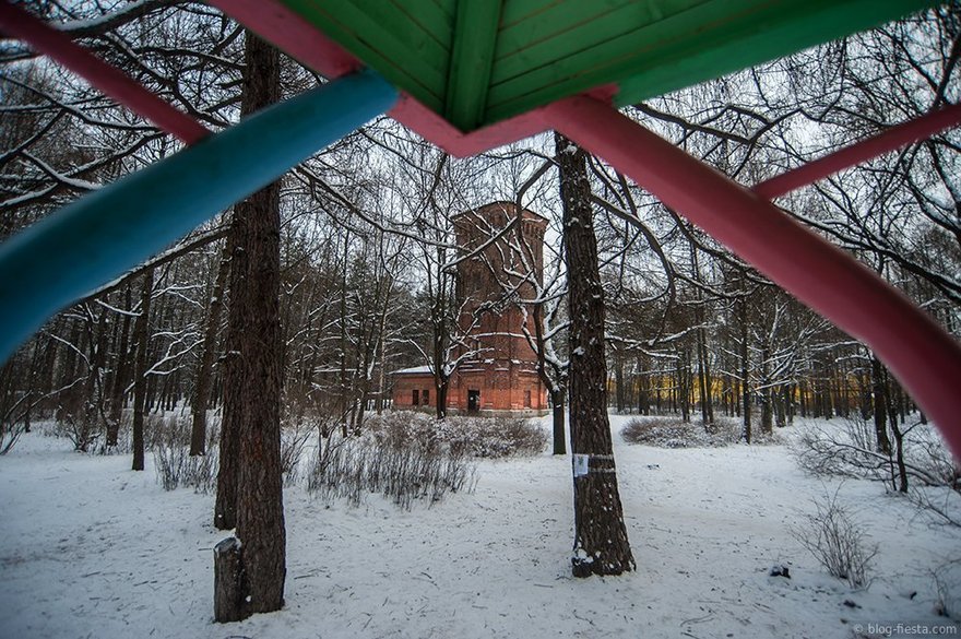 Фото: Сергей Николаев