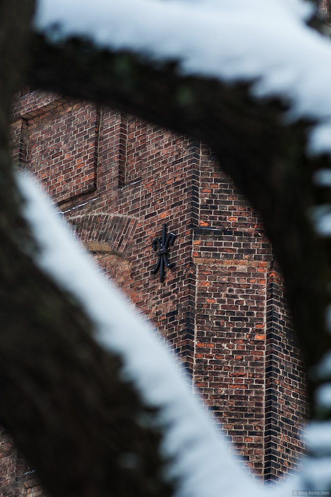 Фото: Сергей Николаев