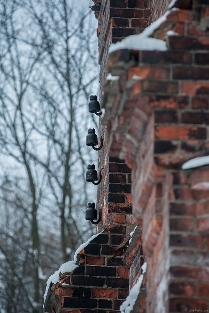 Фото: Сергей Николаев