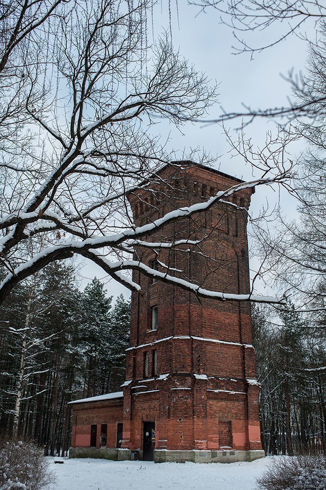 Фото: Сергей Николаев