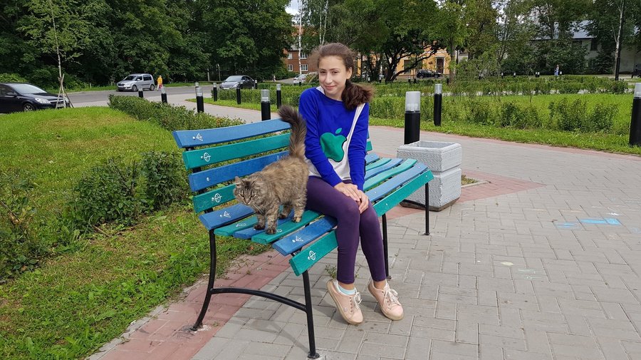 Экологичные скамейки появились в Гатчине