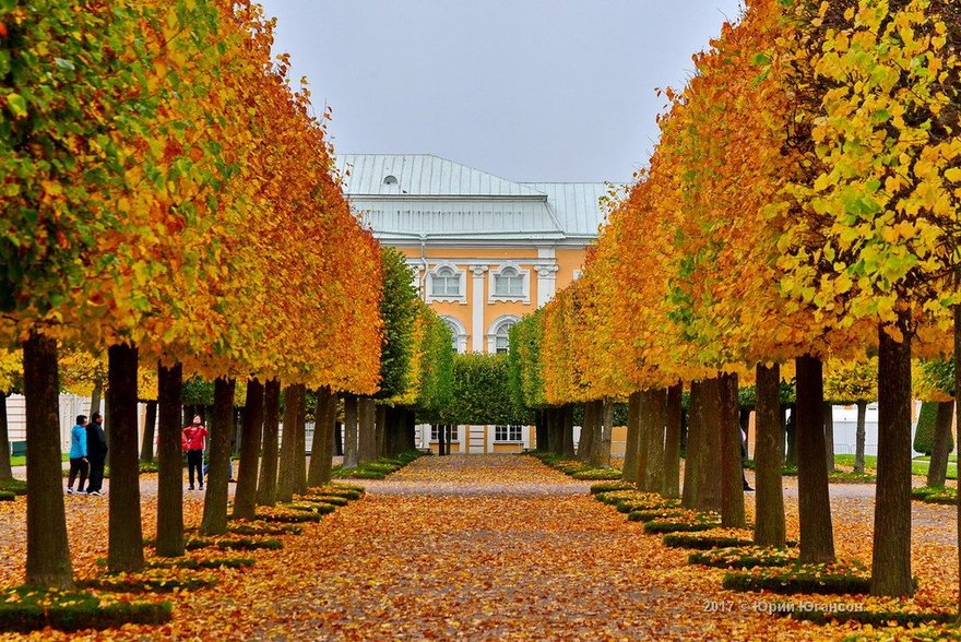 Старый Парк Осенью Фото